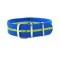 HNS Blue & Green Strip Nylon Watch Strap With Polished Stainless Steel Buckle