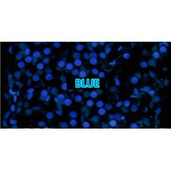 PEARL PIP BLUE LUME FOR BEZEL INSERT FOR ROLEX SEADWELLER DEEPSEA CERAMIC 116660