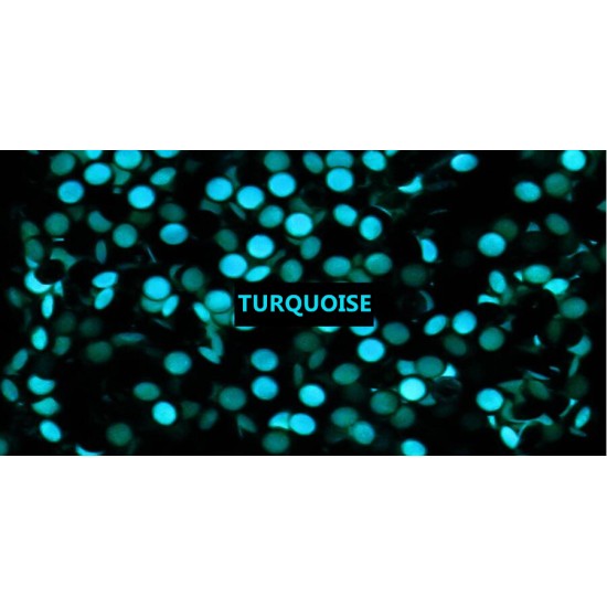 PEARL PIP TURQUOISE LUME BEZEL FOR ROLEX SUBMARINER 16800 16808 16610 ROSE GOLD