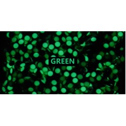 PEARL GREEN LUME FOR BEZEL INSERT FOR ROLEX SUBMARINER 16800 16808 16610 16613
