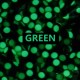 PEARL PIP GREEN LUME FOR BEZEL INSERT 41MM/42MM OMEGA SEAMASTER PLANET OCEAN