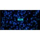 PEARL PIP BLUE LUME FOR BEZEL INSERT FOR ROLEX SUBMARINER CERAMIC 116610 SILVER